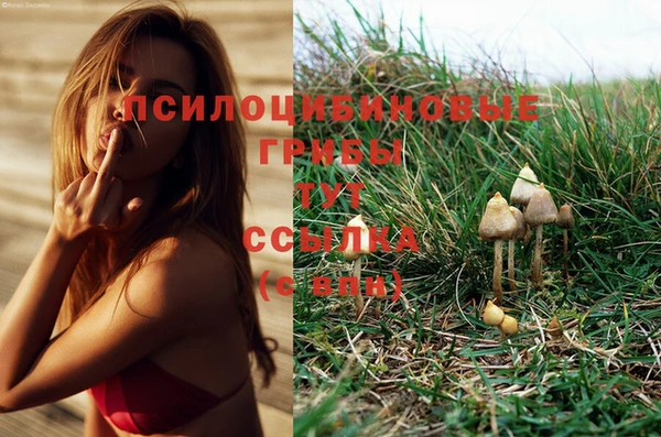 МДМА Арсеньев